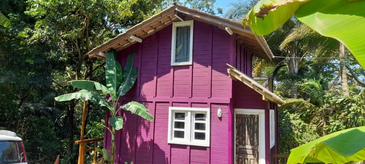Villa Violeta Aquarela Bombinhas Extérieur photo