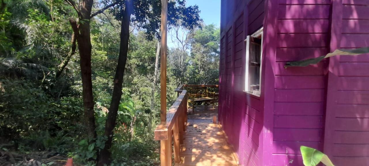 Villa Violeta Aquarela Bombinhas Extérieur photo